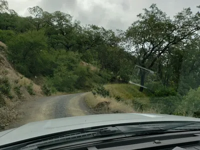 20190520_105432 (Large).jpg